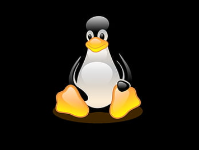Linux Tux logo